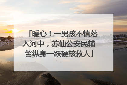 暖心！一男孩不慎落入河中，苏仙公安民辅警纵身一跃硬核救人